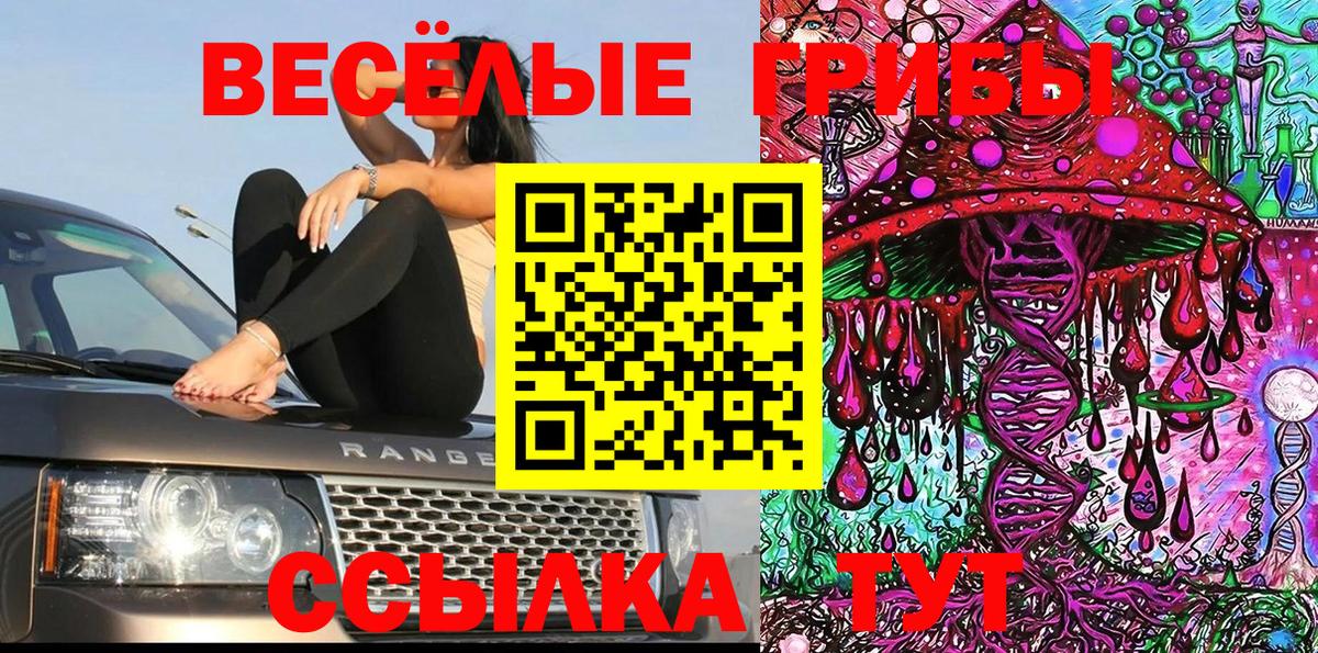Псилоцибиновые грибы Cubensis Назарово
