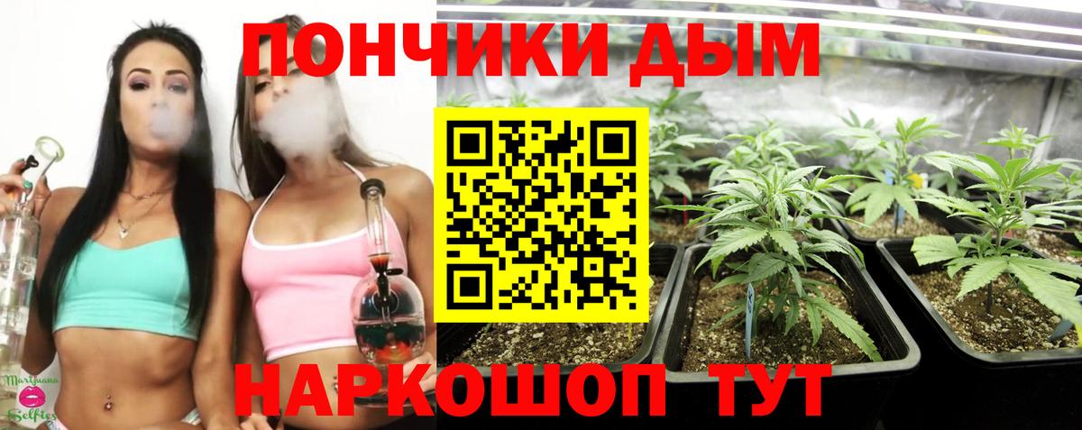 Канабис план  Марихуана индика  Вход с VPN  Марихуана планчик  Назарово 